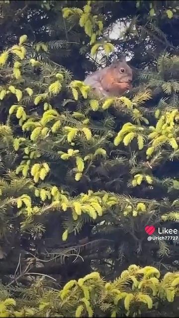 1000057814.mp4