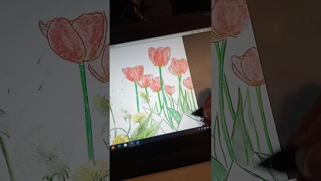Рисуем на планшете  Wacom Cintic