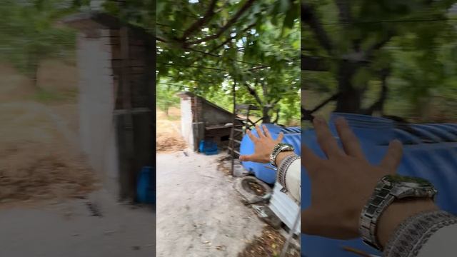ДОМ ПОД СИМФЕРОПОЛЕМ В МОЛОДЁЖНОМ КРЫМ