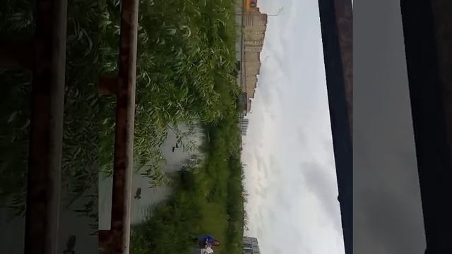 Николай добрый