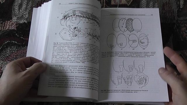 "Биология насекомых" (Ю.А.Захваткин, И.М.Митюшев, Н.Н.Третьяков, 2019)