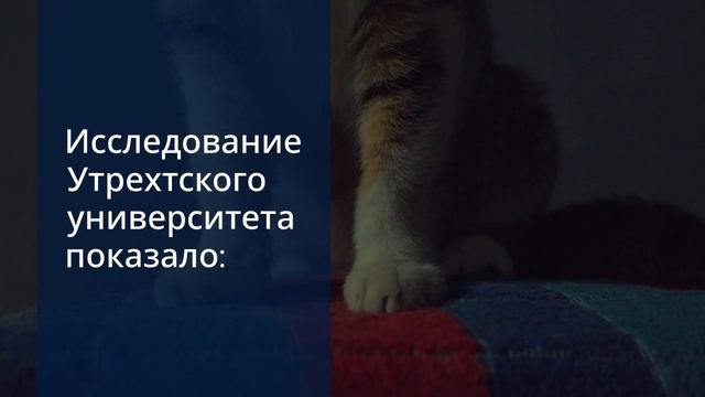 Untitled_video (2)