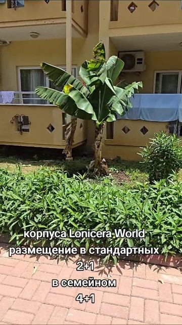 размещение в корпусах World отель Lonicera Resort World  #отелитурции #лето #пляжавсаллар #lonicera
