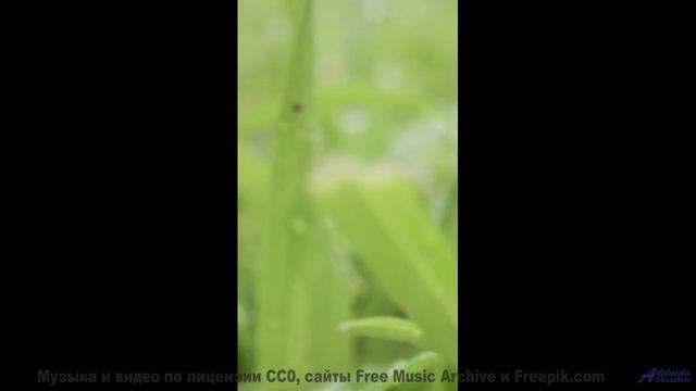 Включите этот трек - и пусть тело движется в ритме любви! - Corrupt -- Shaolin Dub -- Macro Micro