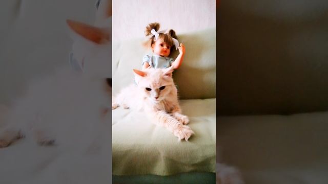 Кот  Кузя и кукла Даша 😉