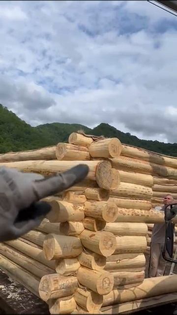VID-20250618-WA0011