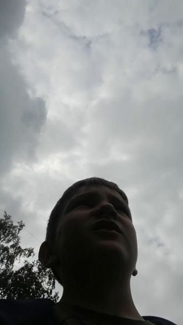 VID_20250619_132202.mp4