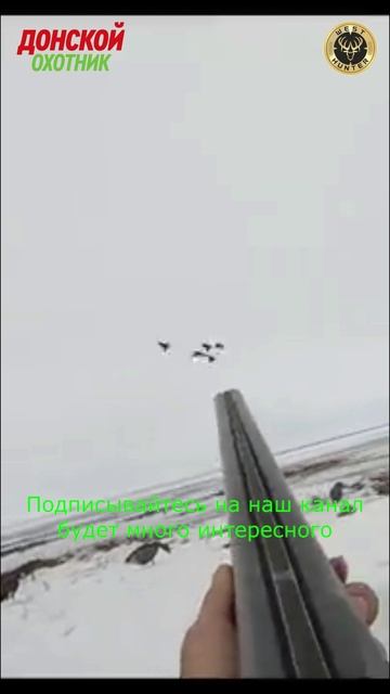 Охота на гусей