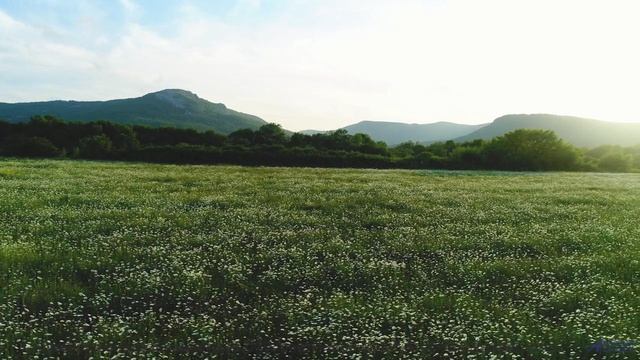 Эта мелодия заставит ваше сердце биться чаще - слушайте вместе! - Laid Back To (ID 987) -- Lobo Loco