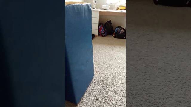1000002312.mp4