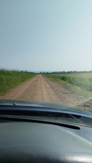 Крошка енот
