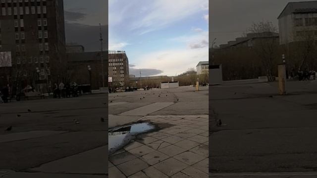 de371a69-ab3b-44d2-a3bf-6cbbaec4fe02-watermark (1).mp4 Елена Дружиненко Воркута