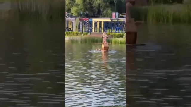 В Москве дети использовали домик для уток совсем не по назначению