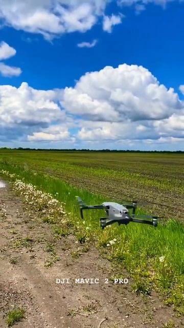 DJI MAVIC 2 pro Обследование густоты посевов кукурузы #дрон #агродрон #agtech #dji #djimavic2pro