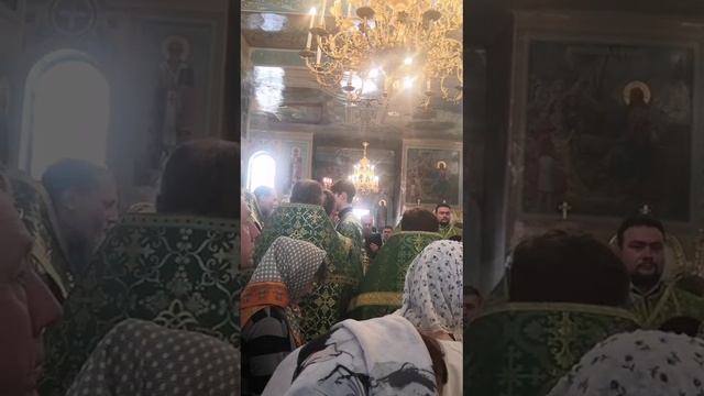 Молитва св.блаженной Матроне Московской у ее мощей. Новосибирск 19.06.2025