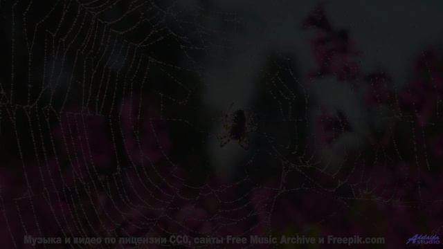 Сердце начинает биться чаще под этот саунд - Never Long (Time Goes By) -- Sahara Sky -- Escapism
