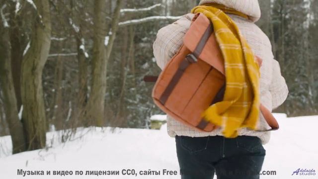 Музыка, под которую даже кактусы пускаются в пляс! - 15 Needless-to Say -- Ketsa -- Free and Beautif