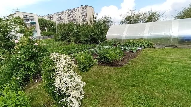 1000012218.mp4