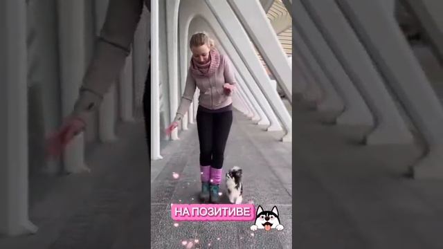 Вот это да...#shorts