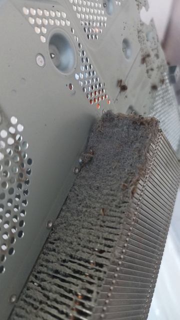 тараканы в пс4🤢🤮