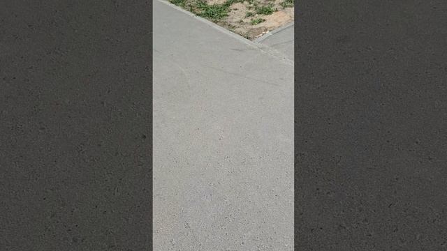 помните-то видео, да уж гуляю?это полное видео. того кусочка.