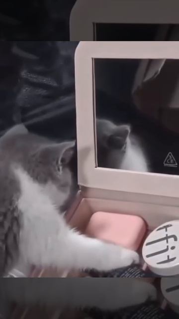 Малыш увидел себя в зеркале 🥰😉😻🌷