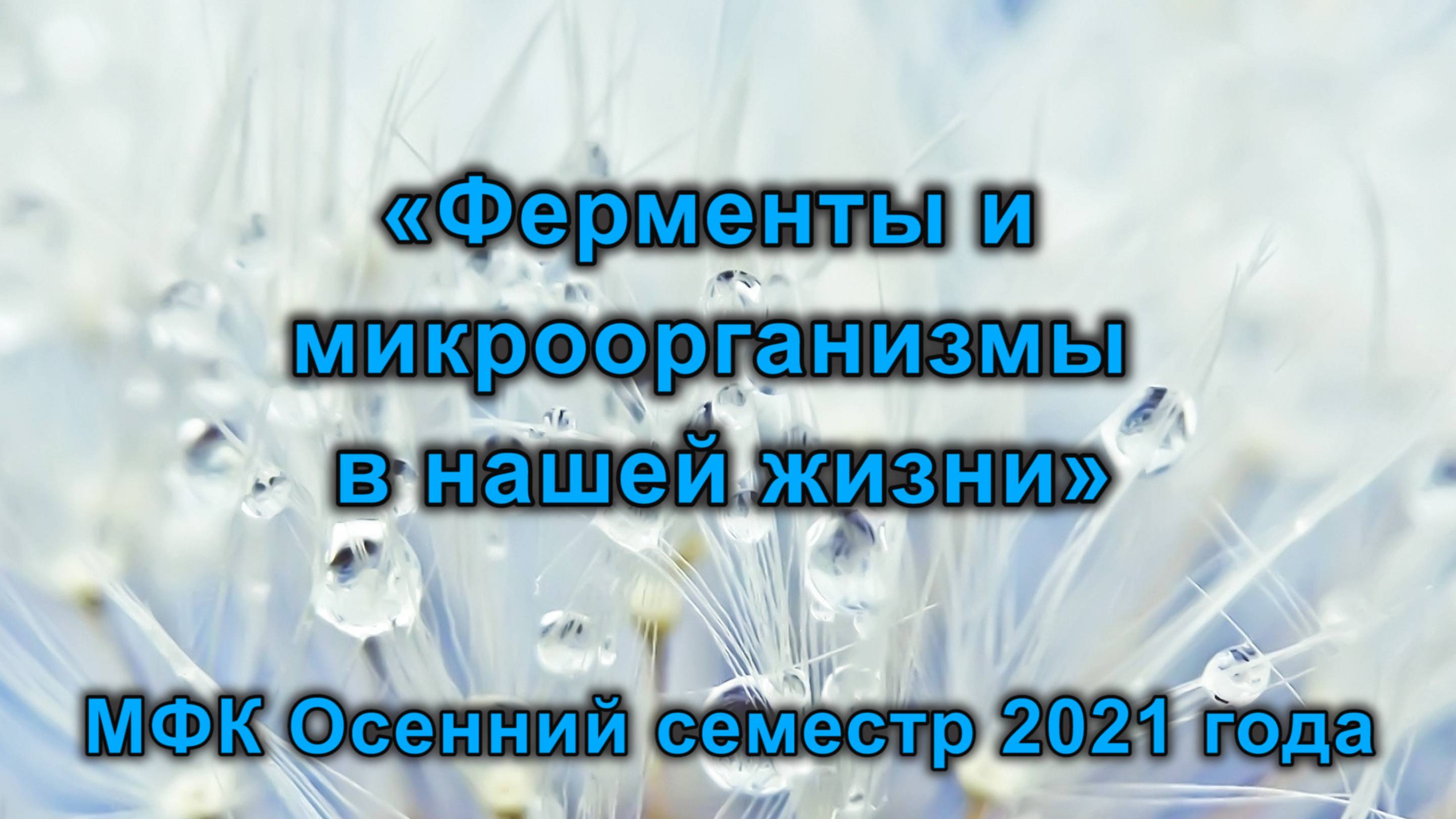 Лактамы и лактамазы. Лекция 7.  Еремеев Н.Л. 24 ноября 2021 года