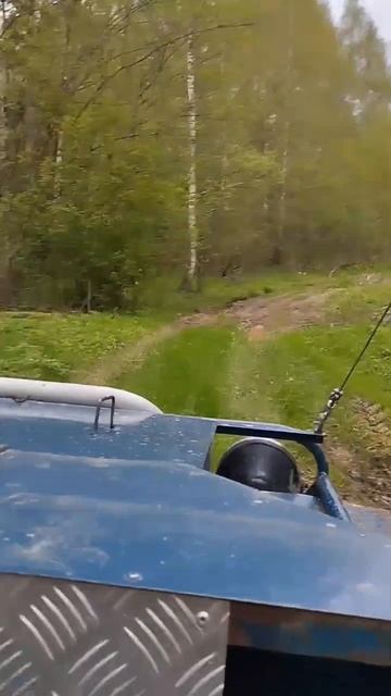 Niva 6