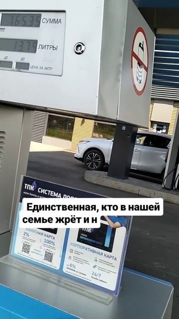 Вот кому можно завидовать 😂 #жрет #жретинетолстеет #жизнь