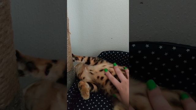 Лиза🥰