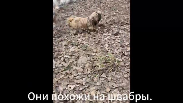Насыщенный день в Казани