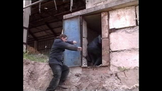 Две рекламы