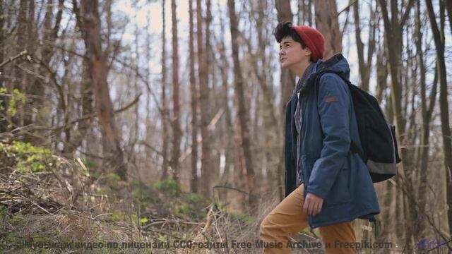 Песня, от которой по коже бегут мурашки страсти... - Play Me a Time -- Ayla Nereo -- Play Me a Time