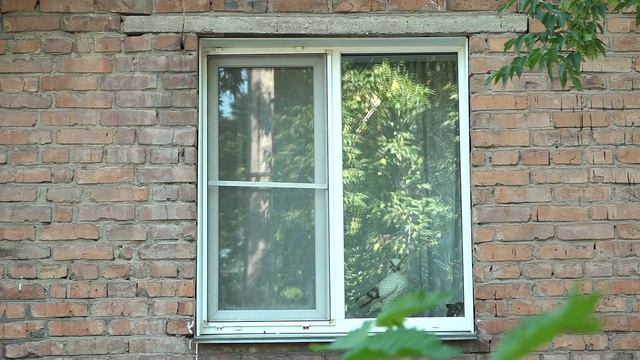 Пять дворов отремонтировано в 2025 году в Бийске