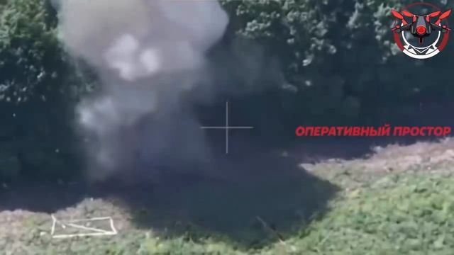 🎮Оператор ФПВ 1 танковой армии уничтожил украинскую САУ 2С1 на Купянском направлении…