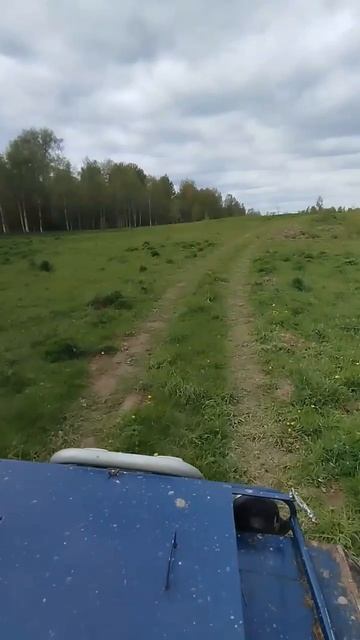 Niva 7