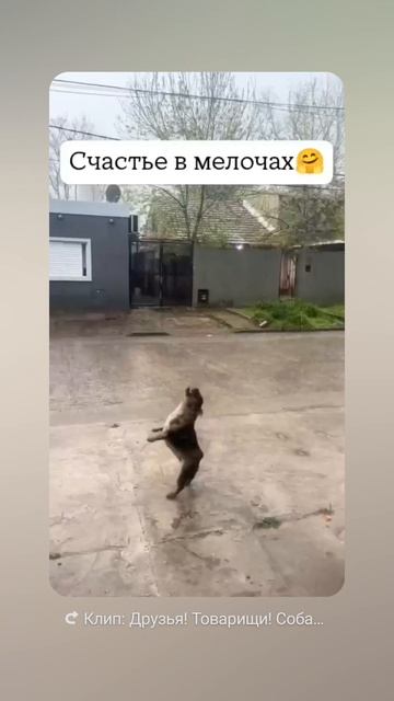 1000060162.mp4