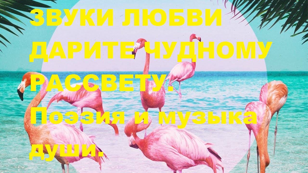 ЗВУКИ  ЛЮБВИ  ДАРИТЕ  ЧУДНОМУ  РАССВЕТУ. Автор стихотворения А. Соколов. Автор ролика В. Голикова.