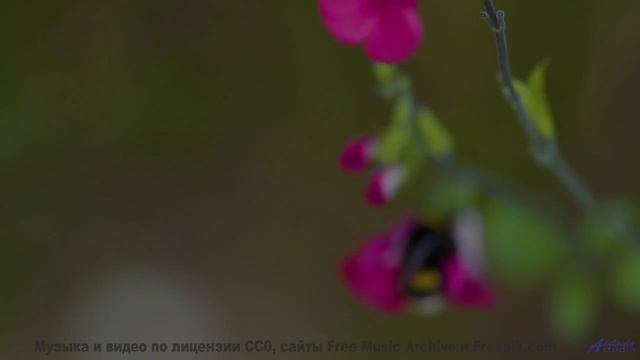 Природа никогда не выглядела так пугающе прекрасно - включите звук! - Space! -- HoliznaCC0 -- Left O