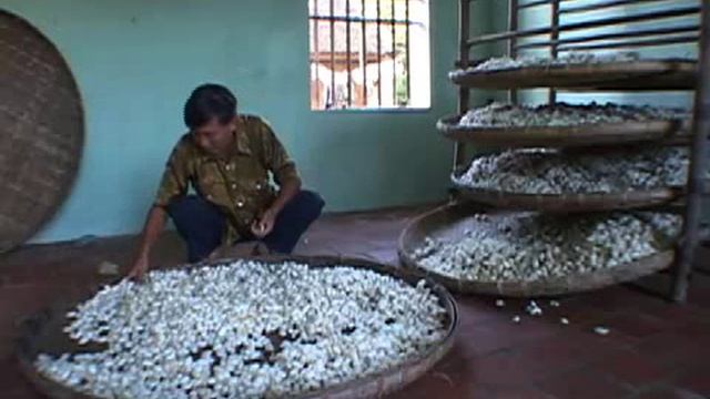 Reading Explorer - Unit 6 Silk weavers of Vietnam