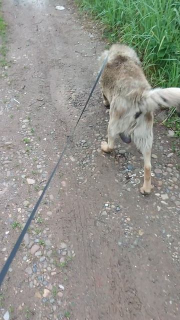 VID_20250619_205449