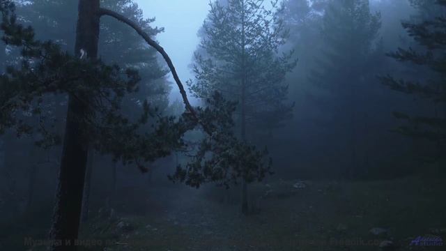 Эти звуки - НЕ ветер и не птицы! - A Root Revived -- Blue Sky Moon -- Prophet and Loss