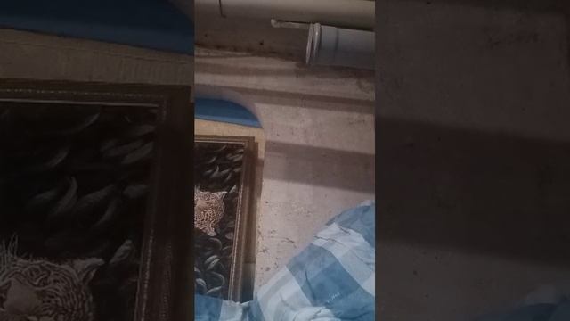 нек