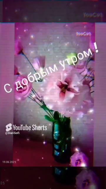 VID_20250619065737