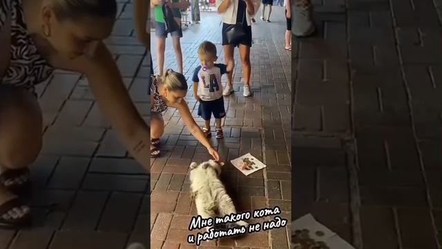 Твёрдо верь, твёрдо знай.