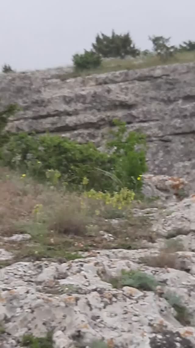 Бахчисарай