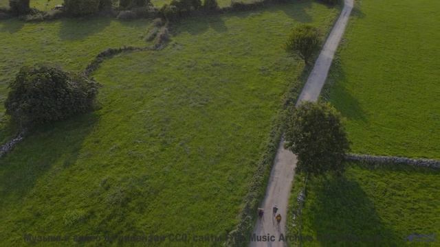 Это видео ВЫЗОВЕТ у тебя мурашки! - Flowers Dont Say Anything, They Just Think -- One Man Book -- Po