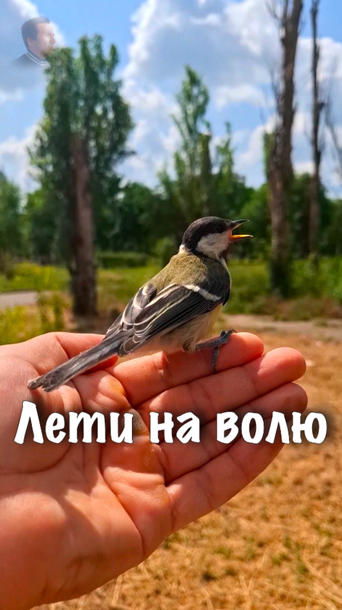 МАРИУПОЛЬ. Лети на волю. #shorts