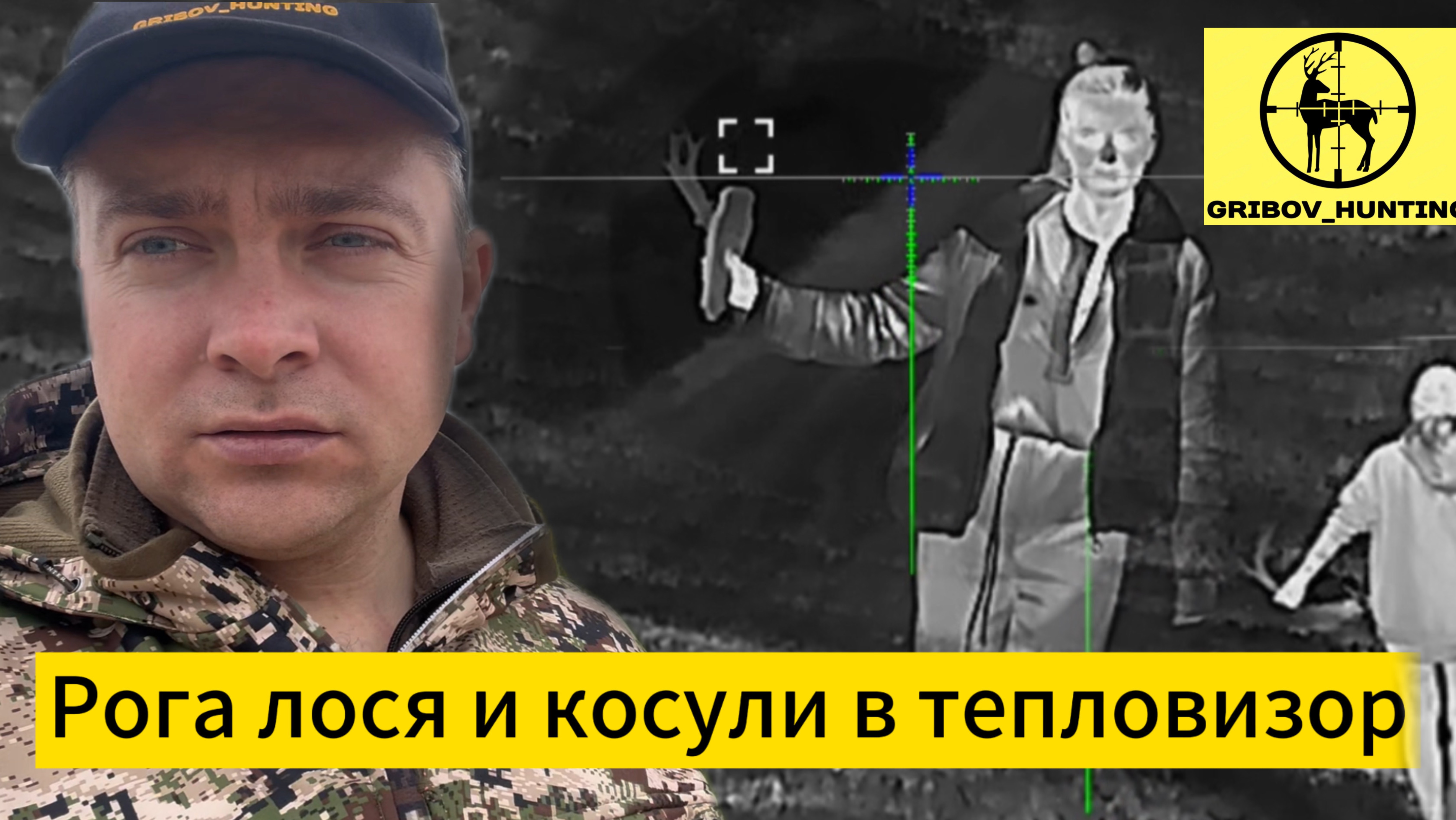 Рога лося и косули в тепловизор