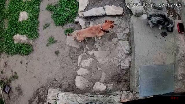 17,18 июня 2025г. Дожди не дают работать)